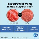 מכונת ברד NINJA נינג'ה FS301