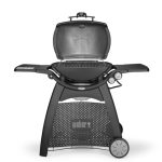 גריל גז WEBER וובר Q3200